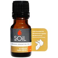 SOiL Ginger Essential Oil